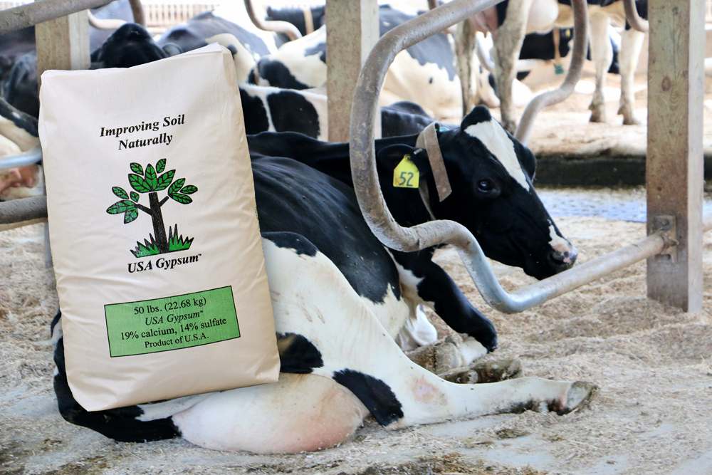Gypsum Dairy Bedding & Barn Dry USA Gypsum